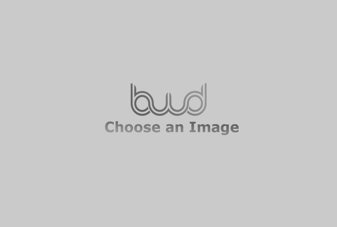 Bestwpdeveloper